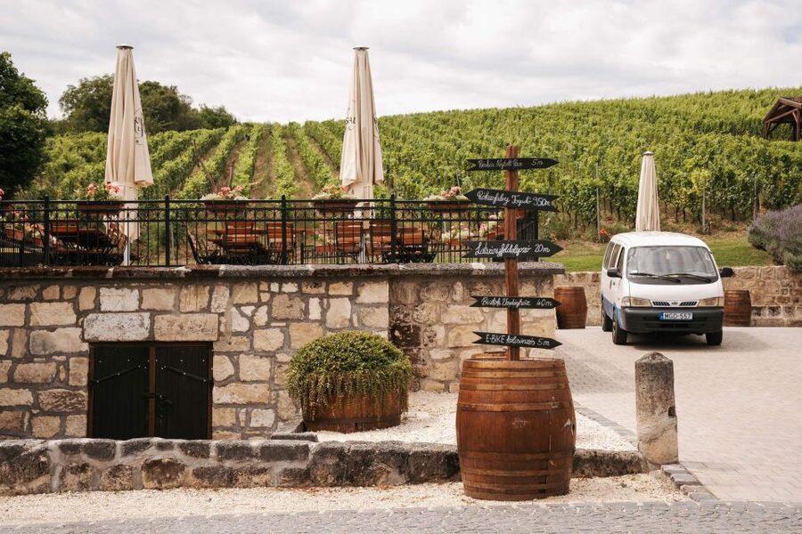 Guided wine tasting at Rókusfalvy Estate - Key points at a glance