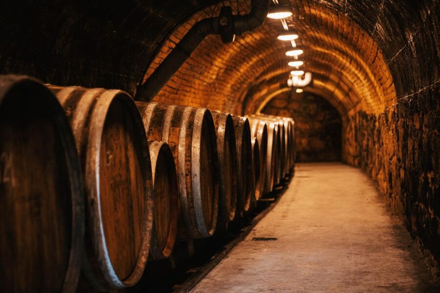 Guided wine tasting at Rókusfalvy Estate - Why Etyek makes a good wine stop from Budapest
