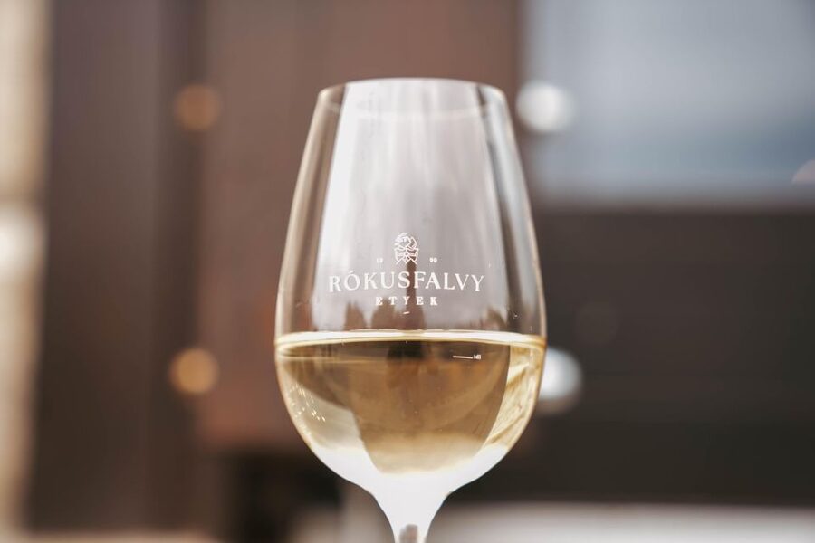 Guided wine tasting at Rókusfalvy Estate - Starting in the press house with four pours