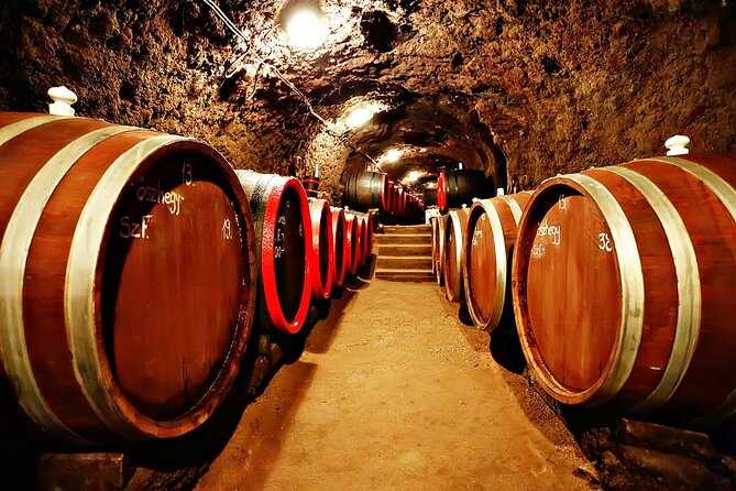 Half Day Tokaj Wine Tasting Tour in Mád Hungary with lunch - Booking details worth checking first
