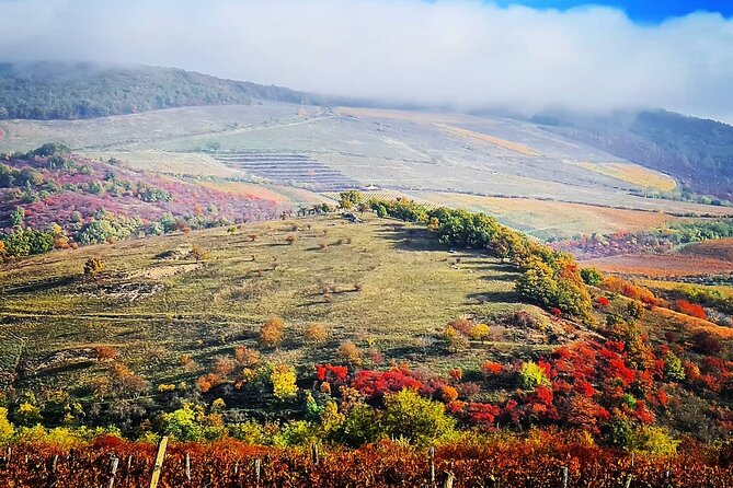 Home to Bull's Blood red wine! Eger with winetaste private tour - Why Eger makes a good day trip from Budapest