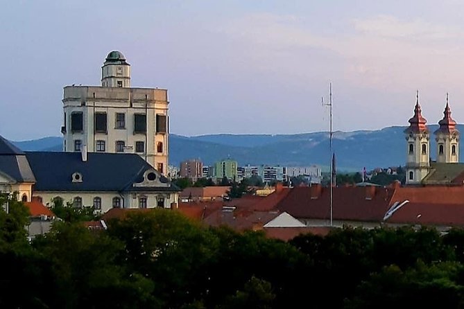 Home to Bull's Blood red wine! Eger with winetaste private tour - Eger Basilica and the work of Joseph Hild