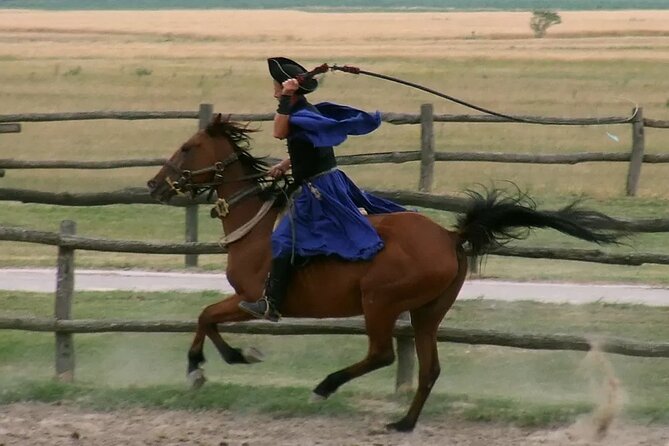 Horseshow on the Hungarian Puszta, private tour from Budapest with entry! - The carriage ride gives you a slower look at the countryside