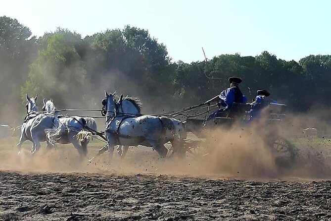 Horseshow on the Hungarian Puszta, private tour from Budapest with entry! - Lunch and wine turn the visit into a full cultural outing