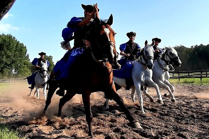 Horseshow on the Hungarian Puszta, private tour from Budapest with entry! - Who will enjoy this experience most