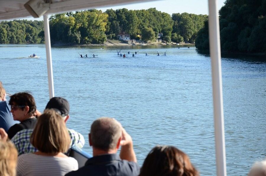 Hungary: Full-Day Private Danube Bend Tour - What the $353 price really gives you