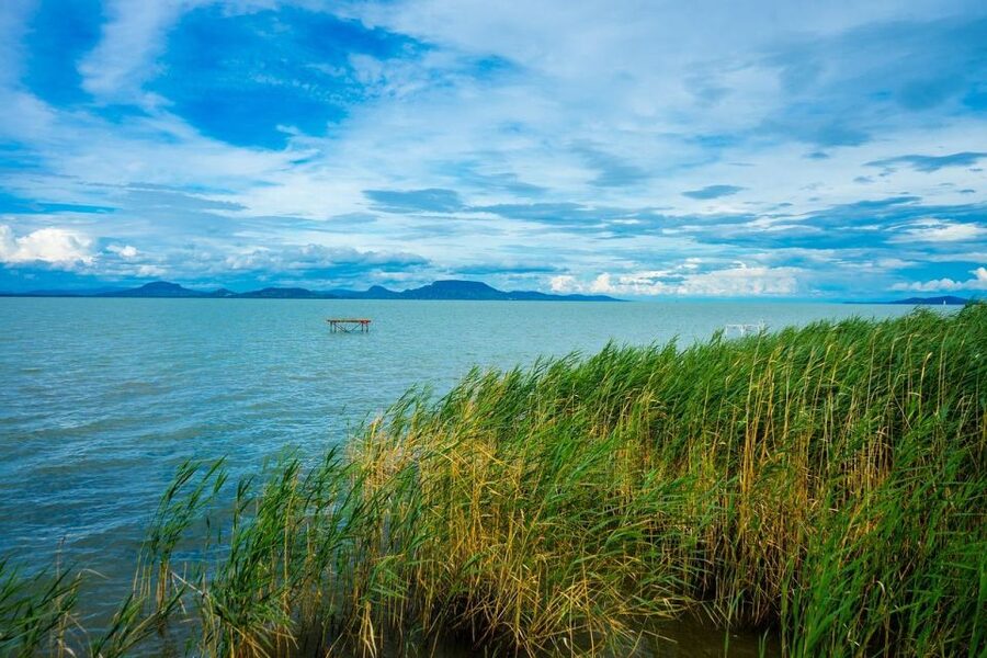 Lake Balaton and Herend Guided Tour - Who will get the most from this experience