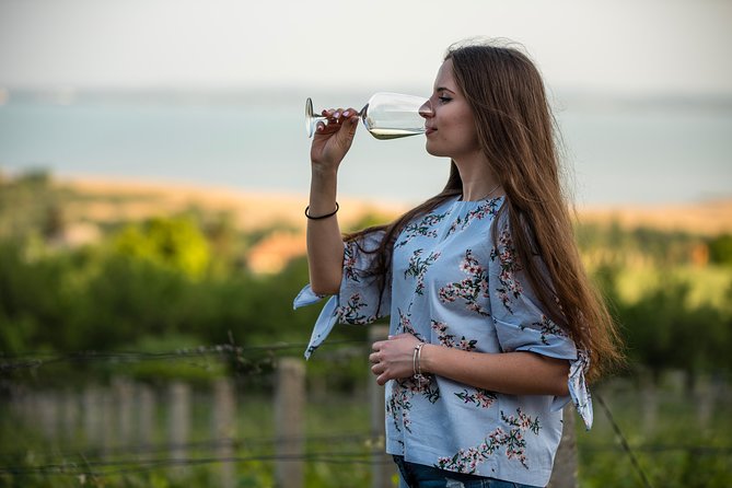 Lake Balaton Full Day Private Wine Tour - North Shore wineries and the tasting lineup