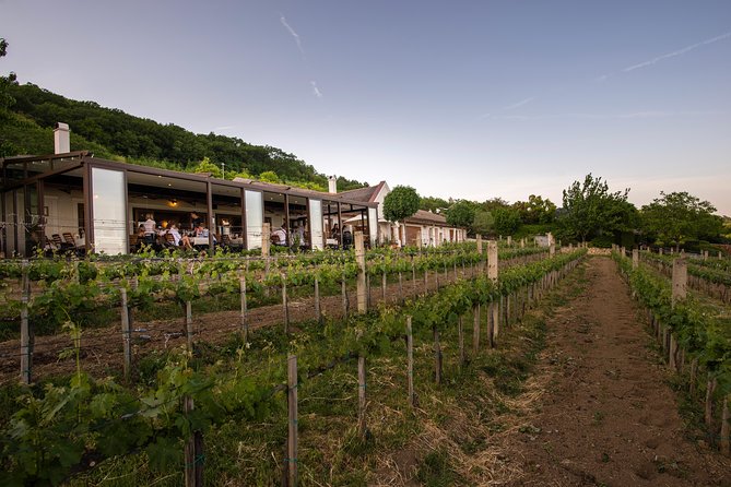 Lake Balaton Full Day Private Wine Tour - What the nine-hour schedule feels like