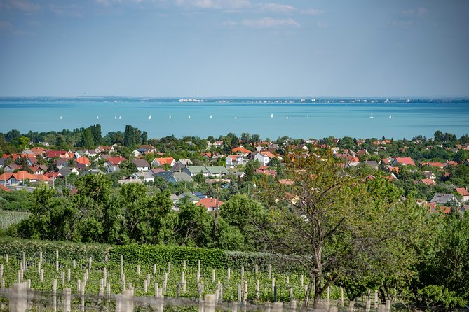 Lake Balaton Full Day Private Wine Tour - Balatonfüred and the Tagore Promenade