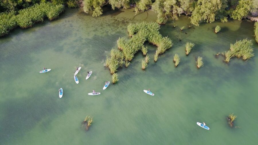 Lake Balaton: Paddle Board Tour of Tihany National Park - Key points at a glance