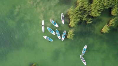 Lake Balaton: Paddle Board Tour of Tihany National Park