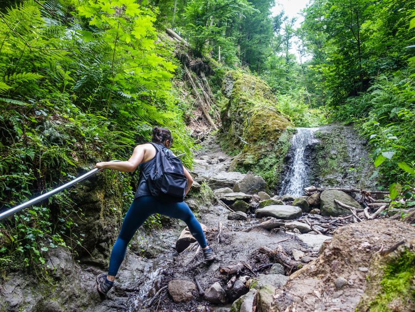 One Day Wonder Hike - The Essence of the Danube Bend - Vadálló stones and the ridge views