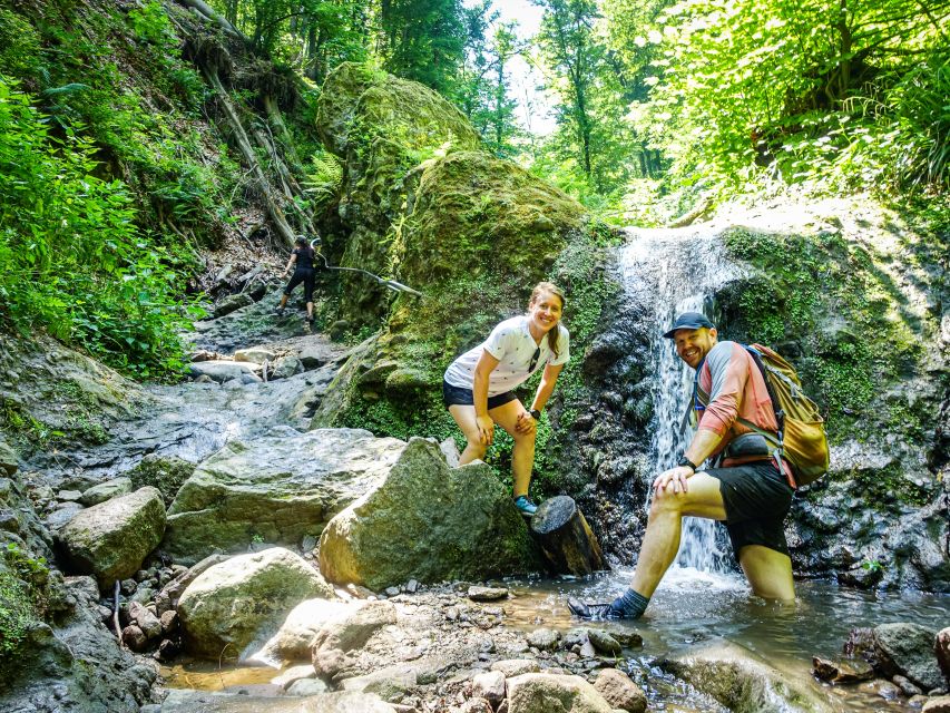 One Day Wonder Hike - The Essence of the Danube Bend - The long descent through the forest