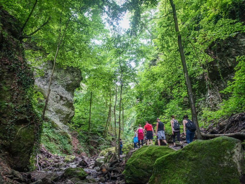 One Day Wonder Hike - The Essence of the Danube Bend - The guides make the difference