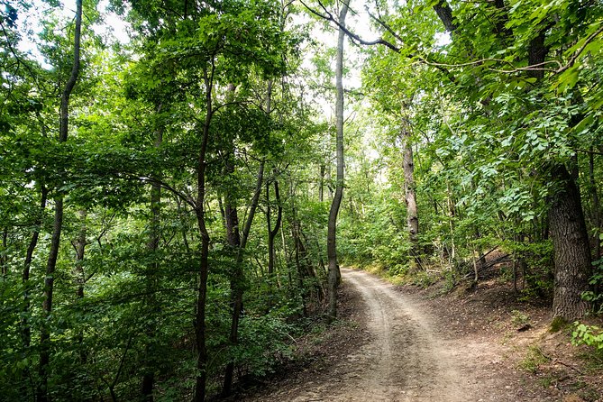 Panoramic hike around Budapest - What the Private Format Adds