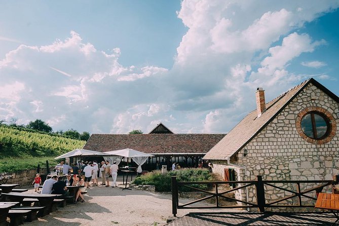 Private Etyek Wine tour with dinner including a Budapest Danube Evening Cruise - The guides can shape the whole evening