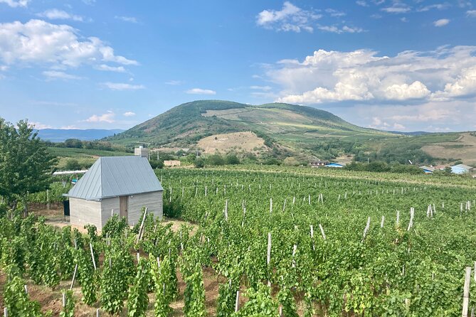 Private Full Day Tour to Eger - History, Culture and Wine - Wine in the Valley of the Beautiful Woman