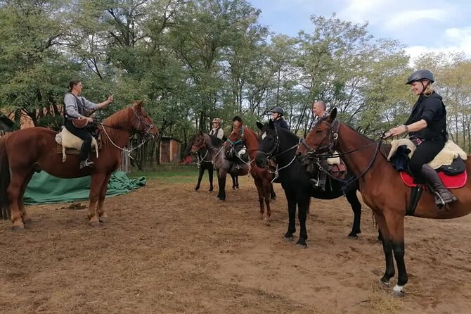 Private Horse Riding near Budapest with transport - Who will enjoy this outing most