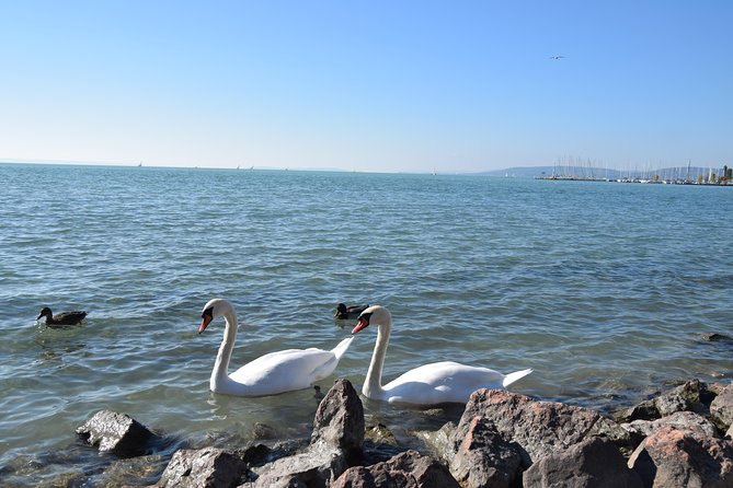 Private Lake Balaton Experience with an unforgettable Wine Tasting - Where the day can feel less flexible