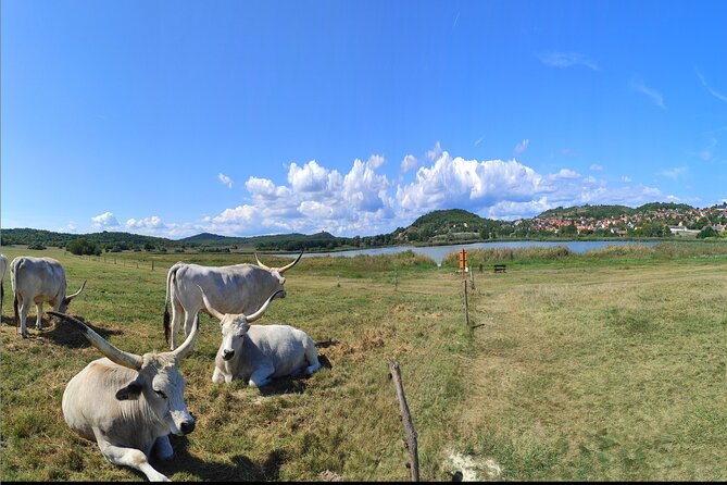 Private tour from Budapest to a top hidden treasure region of Europe: Lake Balaton - Pickup in Budapest and the road into the countryside
