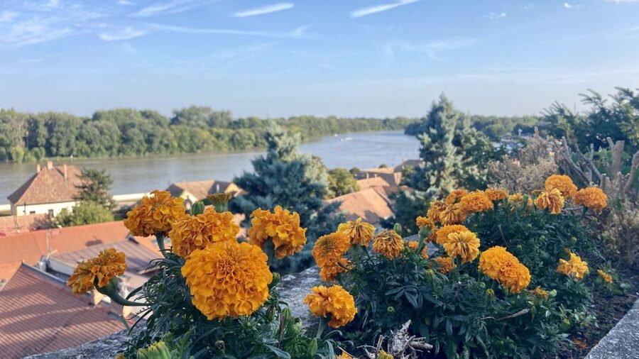 Szentendre: Arts and Cafés Tour (Half-Day Private Tour) - Key points at a glance