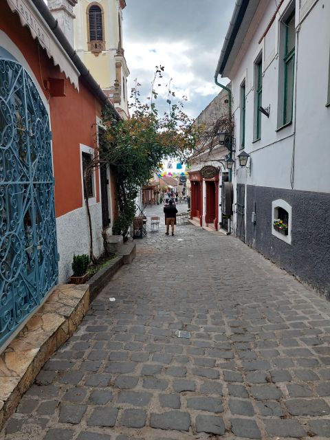 Szentendre: Half-Day Private Tour from Budapest - Choosing galleries and museums without wasting time