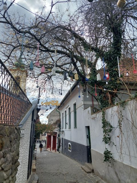 Szentendre: Half-Day Private Tour from Budapest - Leaving Budapest in a private air-conditioned vehicle