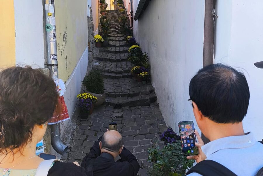 Szentendre, Visegrád and Esztergom Private Danube Bend Tour - Who Should Book This Day Trip?