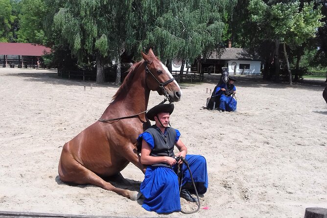 The "Puszta" Horse Show - Key points to know before booking