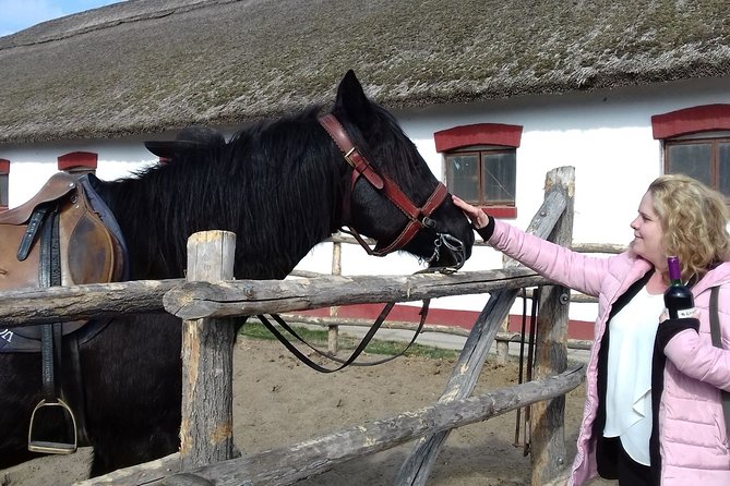 The "Puszta" Horse Show - Lajosmizse is the heart of the experience