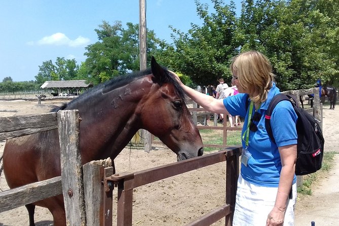 The "Puszta" Horse Show - Add the horseback ride only if it suits your day