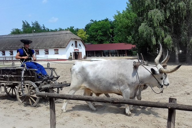 The "Puszta" Horse Show - Traditional Hungarian lunch makes the price easier to accept