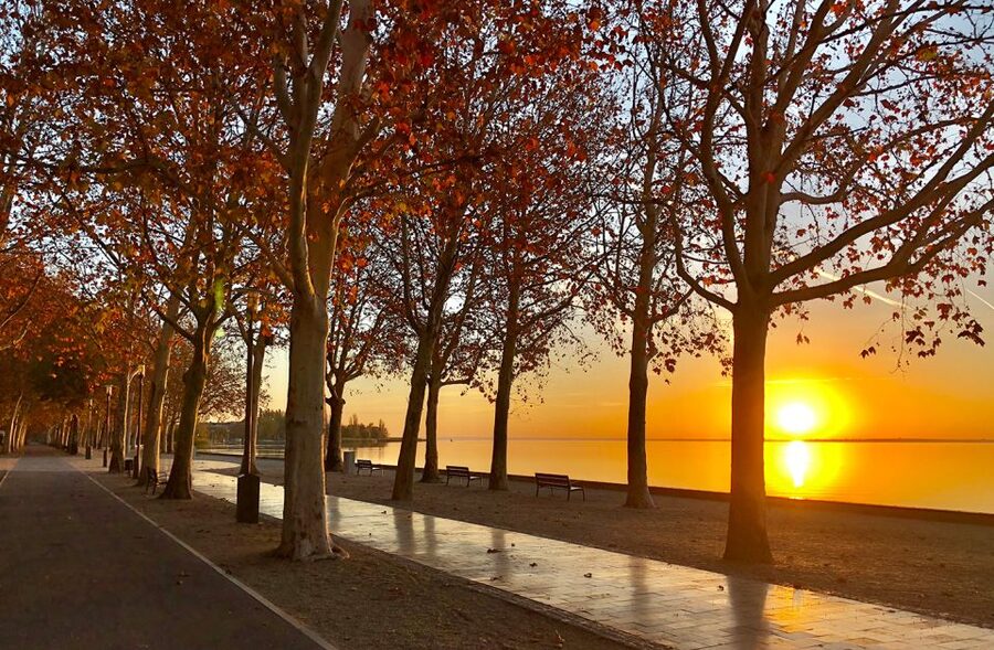 The Turquoise Sea of Hungary: Lake Balaton Private Tour - The 10-minute ferry across the lake