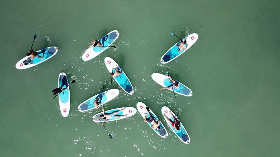 Tihany: SUP Course and Tour at Lake Balaton - Starting at Club Tihany near the ferry