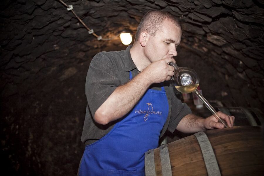 Tokaj: Classic Wine Tasting - Cheese, bread, olives, and a relaxed table