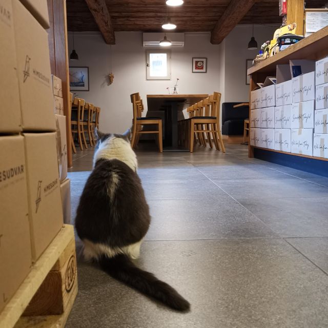 Tokaj: Classic Wine Tasting - The guide and the tone of the visit