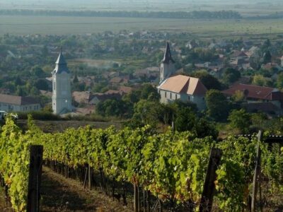 Tokaj Private Day Tour from Budapest