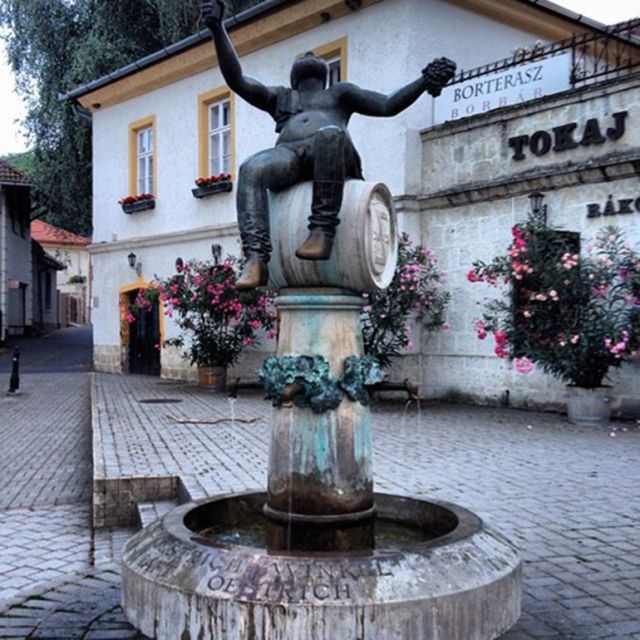 Tokaj Private Day Tour from Budapest - Lunch, snacks, and the pace of the day