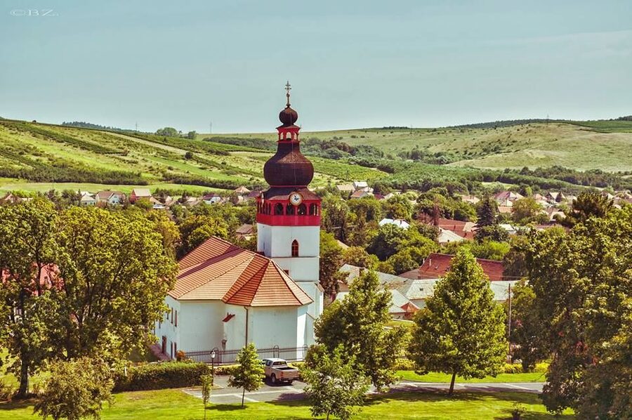 Tokaj Private Day Tour from Budapest - What the private format is really worth