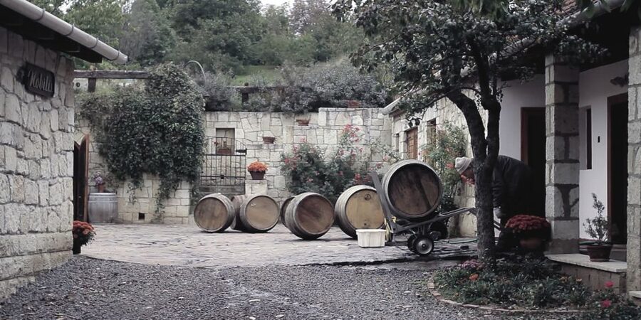Tokaj Private Day Tour from Budapest - The guide can shape the entire experience