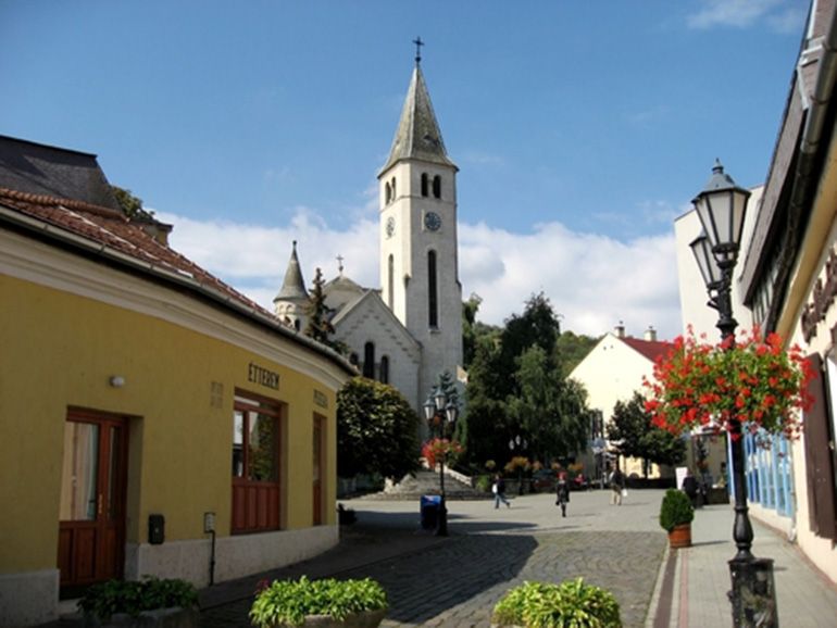 Tokaj Private Day Tour from Budapest - Practical details that affect your decision