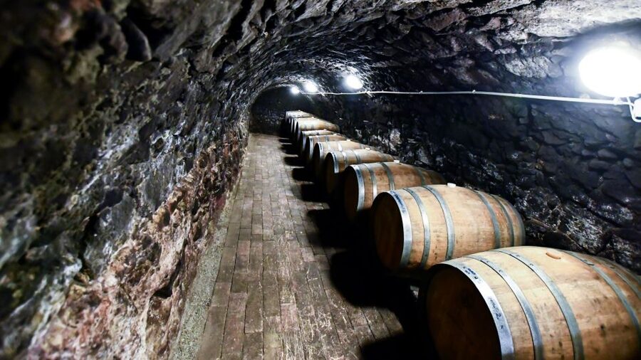 Tokaj: Vineyard Tour & Tasting - Arriving at Hímesudvar Wine Estate