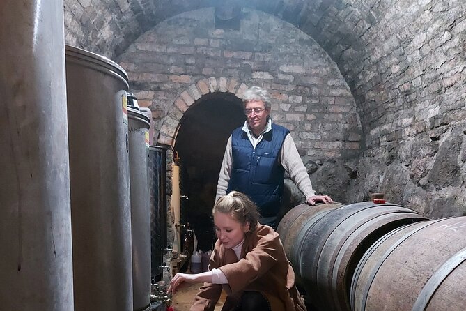 Wine Tasting in the Countryside from Budapest - What you may taste in the glass