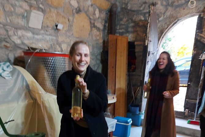 Wine Tasting in the Countryside from Budapest - A small group with room for conversation